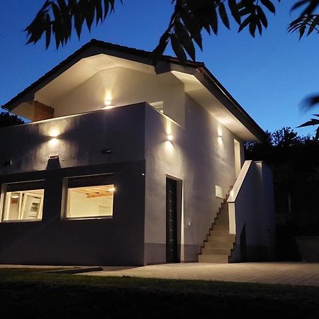 Grajsko Vila Metlika Exterior foto