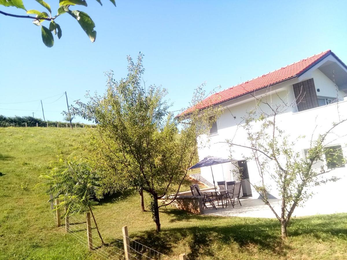 Grajsko Vila Metlika Exterior foto
